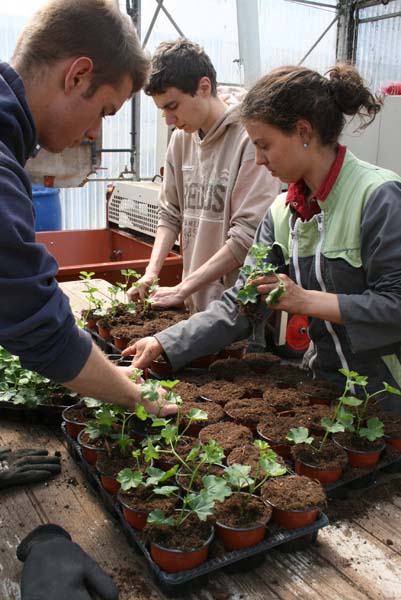 CAPa m tiers de l agriculture support Productions Horticoles